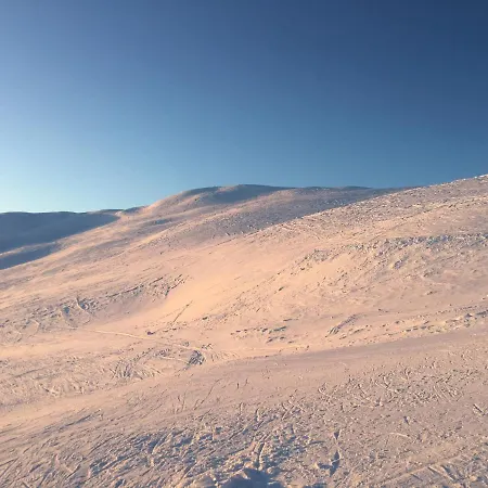 Voss- Oppheim Private Cozy *