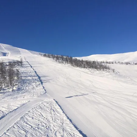 Semesterbostad Voss- Oppheim Private Cozy