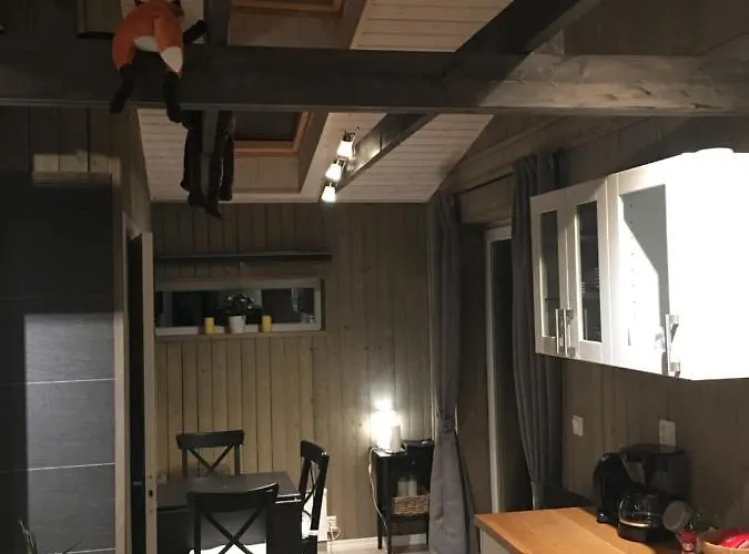 Voss- Oppheim Private Cozy 度假居 Vossestrand